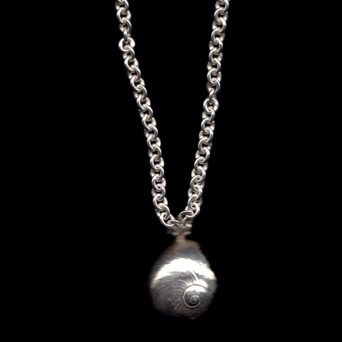 SIlver+Sea+Snail+